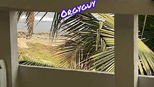 pussy view beach resort outdoor flash