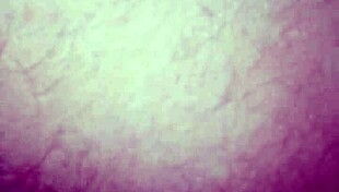 i'm sharing my lady's video from 2016, hope you like it