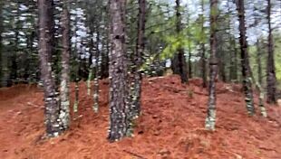 Clitlicker662 Flashes Naked Cock in Public Street Muff Diving