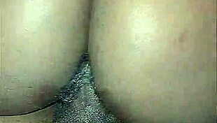 Wet Pussy Fucked Doggy Creampie