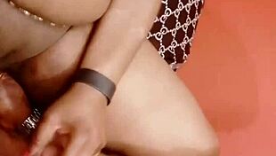 sundaydogood614 update 292 on jul 04 2024