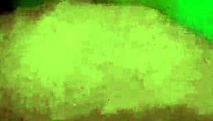 Real Myanmar Amateur Rides Hard on Bed.