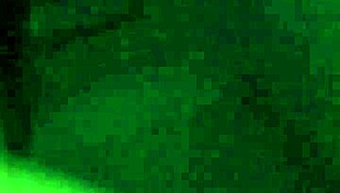 blowjob from a fat friend in hotel