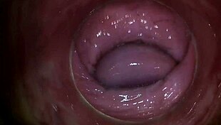 Camera Explores Paula Shy's Vagina Close Up