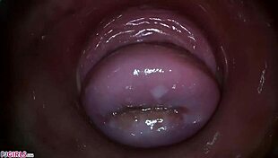 Camera Explores Paula Shy's Vagina Close Up