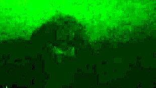 Insatiable punk babe intensely masturbates with toy outdoors