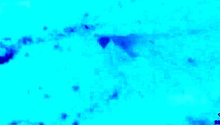 Lovely Japanese Models Showcase Their Beauty