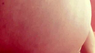 sundaydogood614 update 644 vid 20241129 190420 nov 29 2024