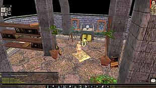 Want to play Neverwinter Nights with nude mod and questline?