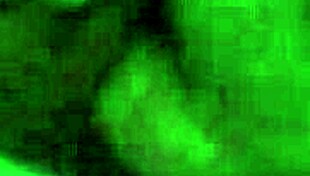 Girlfriend Sucked by Lover While Husband at Work