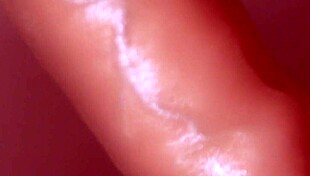 Emotional Indian Love Story with Big Cock and Cum in Mouth