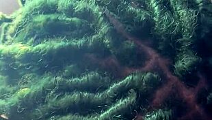 Big Daddy Deepthroat Rides Chevy Impala!