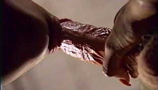 Legendary pornstar Dominique Simone plays poker with stars