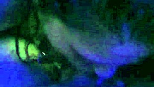 Small cute chick swallows dick in homemade amateur video