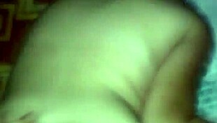 Amateur Couple Engages in Passionate Sex