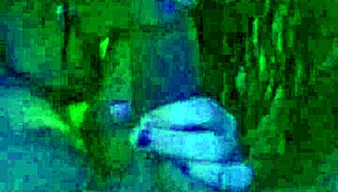 Small cute chick swallows dick in homemade amateur video