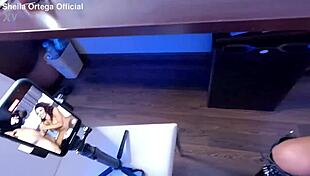 Real Couple Doing Sex In Pov At Home - Sheila Ortega