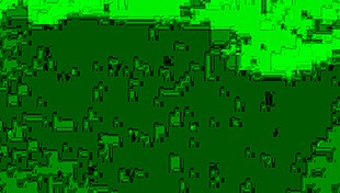 outdoor fucking with pussy moaning