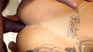 Mineirinho Licking Me Deliciously