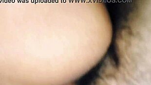 Young Neighbor Asks For Help, Uncovers Passion