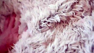 intense passion as best friend's wife films breeding - sophia locke