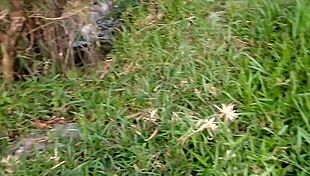 I Saw Hot Guys In Public Colombian Outdoor Spot