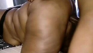 Nigarchrist Update 1496 Petal June 22 2025