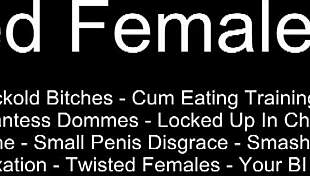 We will provide you with nonstop torment 😈