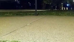 Returning after anal 4th of July celebration