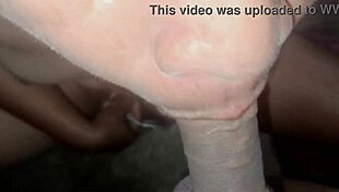 Intimate Wet Blowjob Session