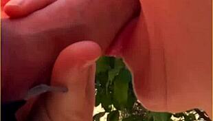 Hot Wife Delivers Amazing Public Blowjob Outdoors