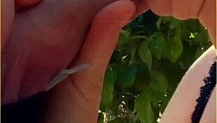 Hot Wife Delivers Amazing Public Blowjob Outdoors