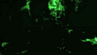 i fucked the young neighbor's tight pussy and ass once more. she loves dick so much.