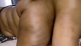 Nigarchrist Update 1496 Petal June 22 2025