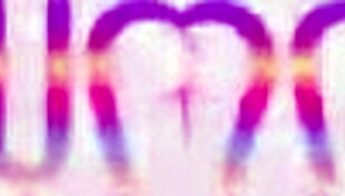 vitoria beatriz drinks piss in hardcore anal rimming scene