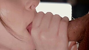 Best Compilation Highlights 2