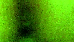 Sara Takes Big Black Cock Bareback Monster Dick Stretches Her