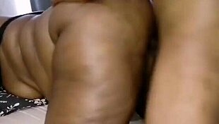 Nigarchrist Update 1496 Petal June 22 2025