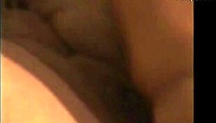 Mature Chubby Swingers Explore Homemade Group Pleasures