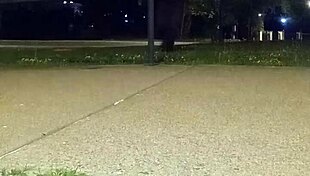 Returning after anal 4th of July celebration