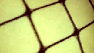 Sexy Couple In Beautiful Porno