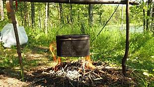 cute stepsister enjoys stepbrother in woods