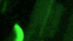 Mexican girl enjoys good fuck