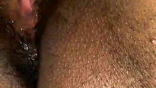 Tamil Desi Wife Gets Hubby Pussy Licking Intensely