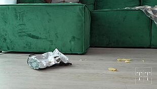 bad behavior that bitch is gonna get what she deserves 4k hd tim team