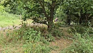 Have you explored the clapham common cruising trails in june 2025?