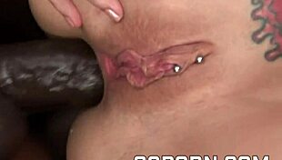 Bbc fucking the ass of a sexy milf in lingerie