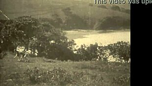 Have you read the erotic confessions of a Victorian gentleman? Dark Lantern presents vintage women.