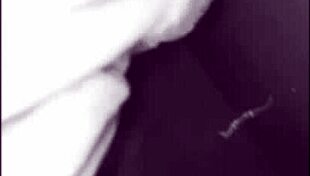 beloved wife cheats in the kitchen with friend