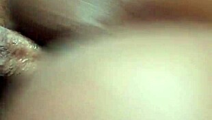 celebrating the joyful start of the new year 2020